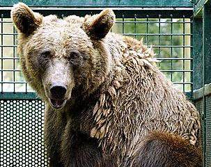 So ein starkes Gef&auml;hrt..